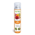 Chillgard-300ml-spray.webp