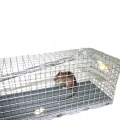 ZL27.11.11-pulapka-na-MYSZY-i-SZCZURY-klatka-zywolowna-jednowejsciowa-27x11x11-cm.webp