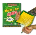 LEP-na-szczury-i-myszy-mocna-DUZA-pulapka-klejowa-na-gryzonie-i-owady-205x310-mm-II.webp