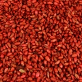 zblizenie-na-czerwone-ziarno.webp