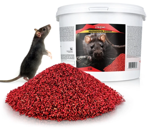 zatrute-ziarno-trutka-na-myszy-szczury-strong-strong.webp