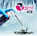 VAZOR-ICE-wymrazanie-PLUSKIEW-DOMOWYCH,-oraz-innych-owadow-500ml.webp