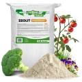 zeolit-ogrodniczy-strong-nawoz-do-ogrodu-10-kg.webp