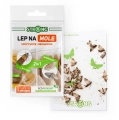 lep-na-mole-strong-2w1-na-mole-odziezowe-i-spozywcze-1-szt.webp