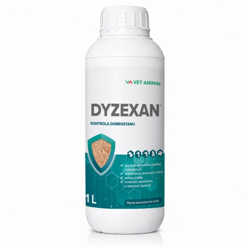 dyzexan-2026.webp