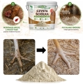 strong-czysta-sciolka-pochlaniacz-amoniaku-i-odoru-4-kg-bezpieczny-dla-drobiu.webp