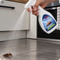 provecta-hit-owady-biegające-750ml-pryskanie-na-karalucha.webp