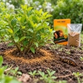 proszek-do-higienizacji-gleby-1-kg-vigonez-ochrona-rosliny-turkuc-kwadrat.webp