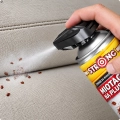 zwalczanie-pluskiew-w-lozku-miotacz-strong-spray-kwadrat.webp