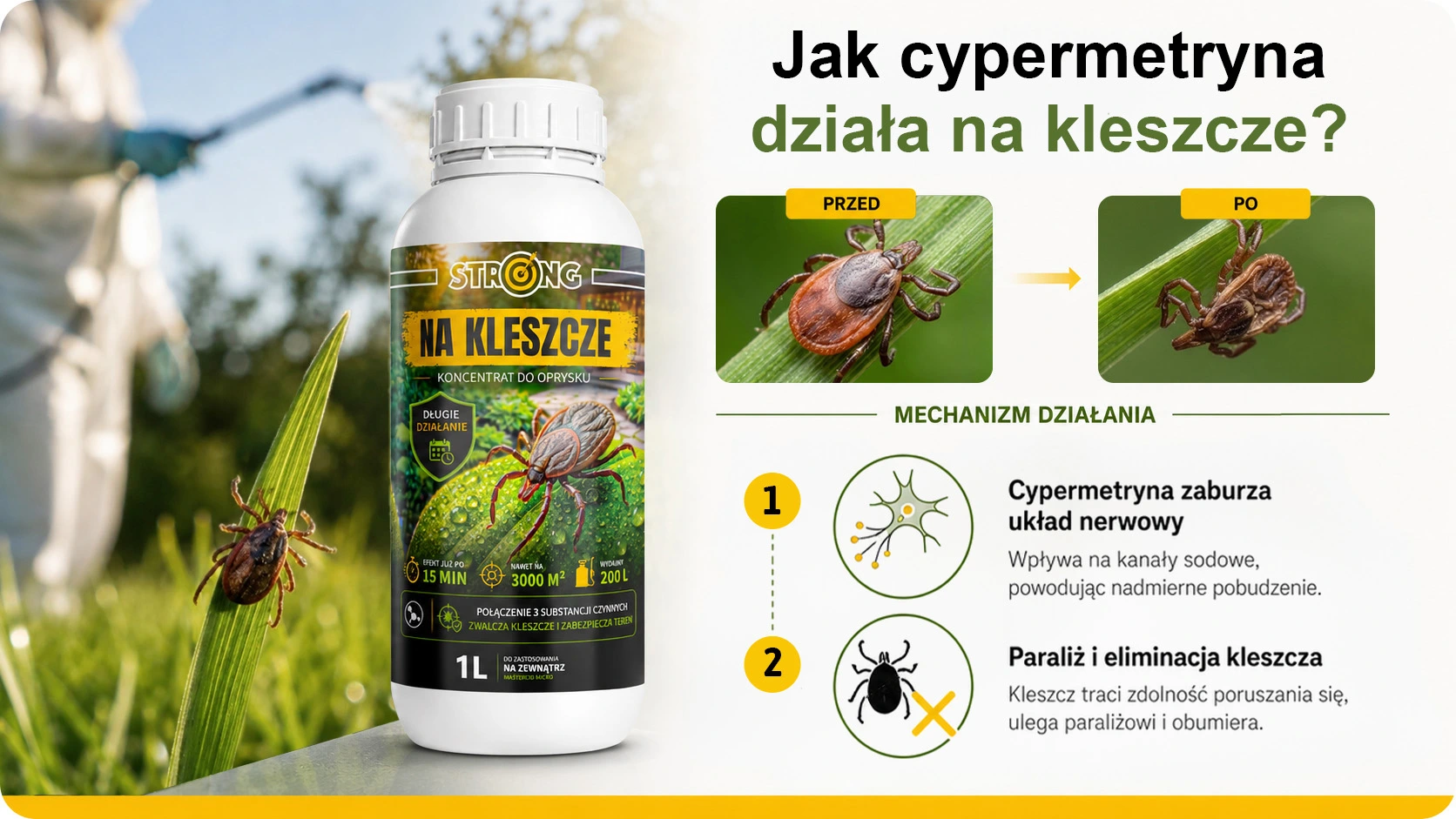 Infografika: cypermetryna zaburza układ nerwowy kleszcza, powodując paraliż i eliminację.