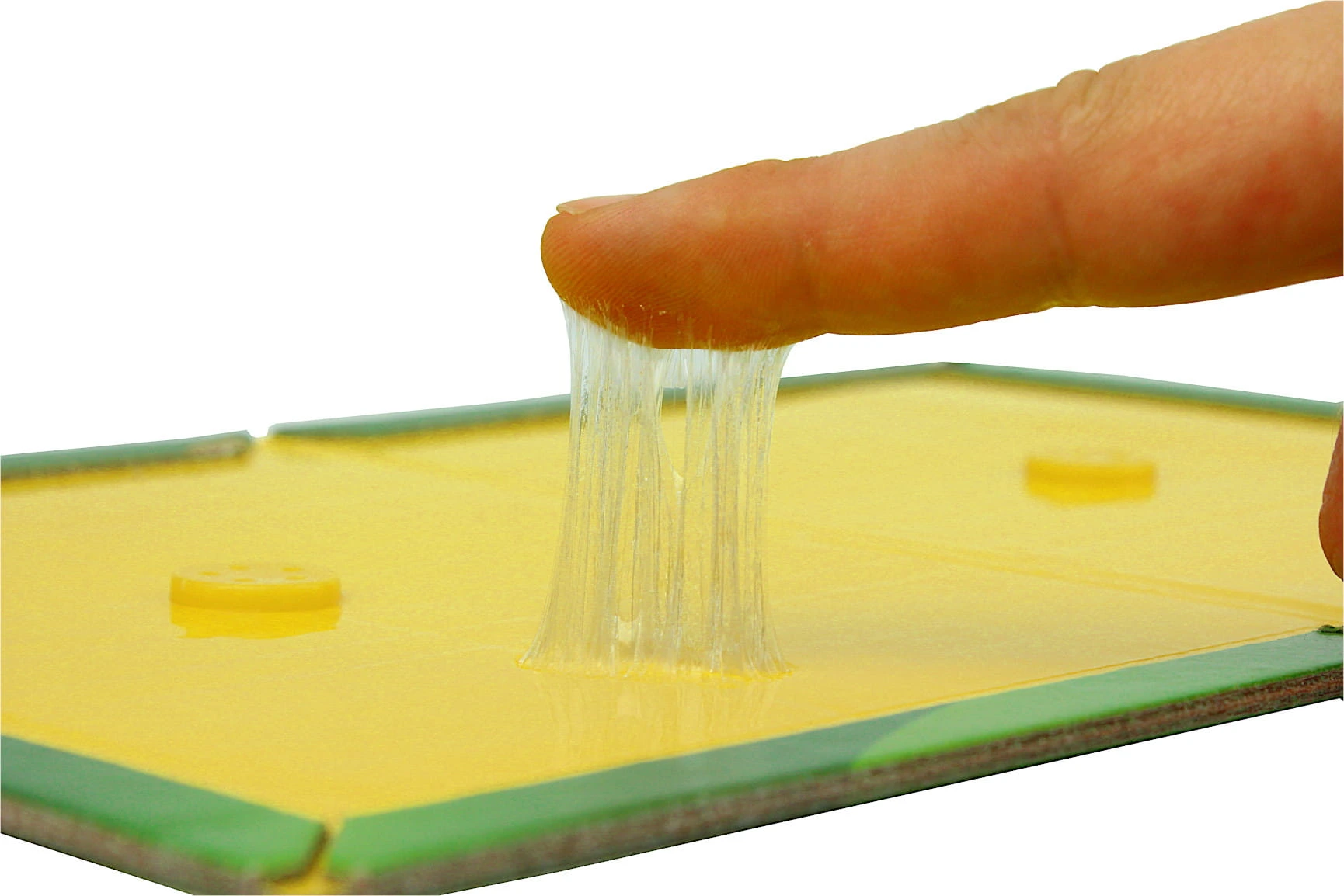 Zbliżenie na palec odrywany od silnie lepkiej powierzchni pułapki klejowej na gryzonie.