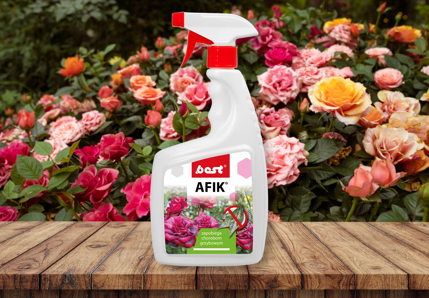 Preparat w sprayu Best AFIK do ochrony róż przed chorobami grzybowymi, ustawiony na drewnianym blacie na tle kwitnących róż.