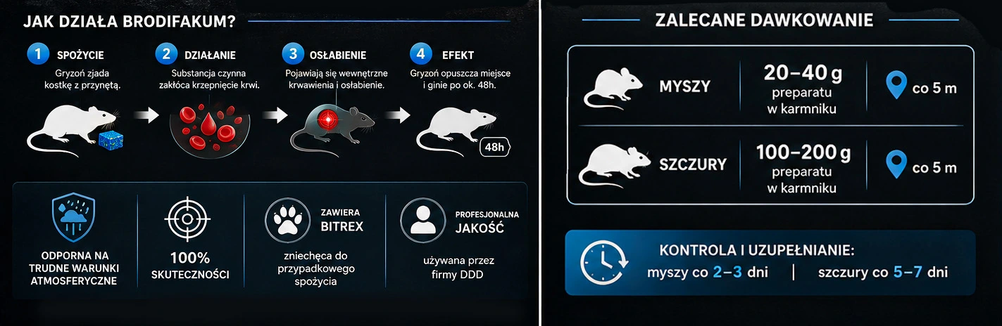Infografika działania trutki Brodifakum oraz zalecanego dawkowania dla myszy i szczurów z instrukcją kontroli przynęty
