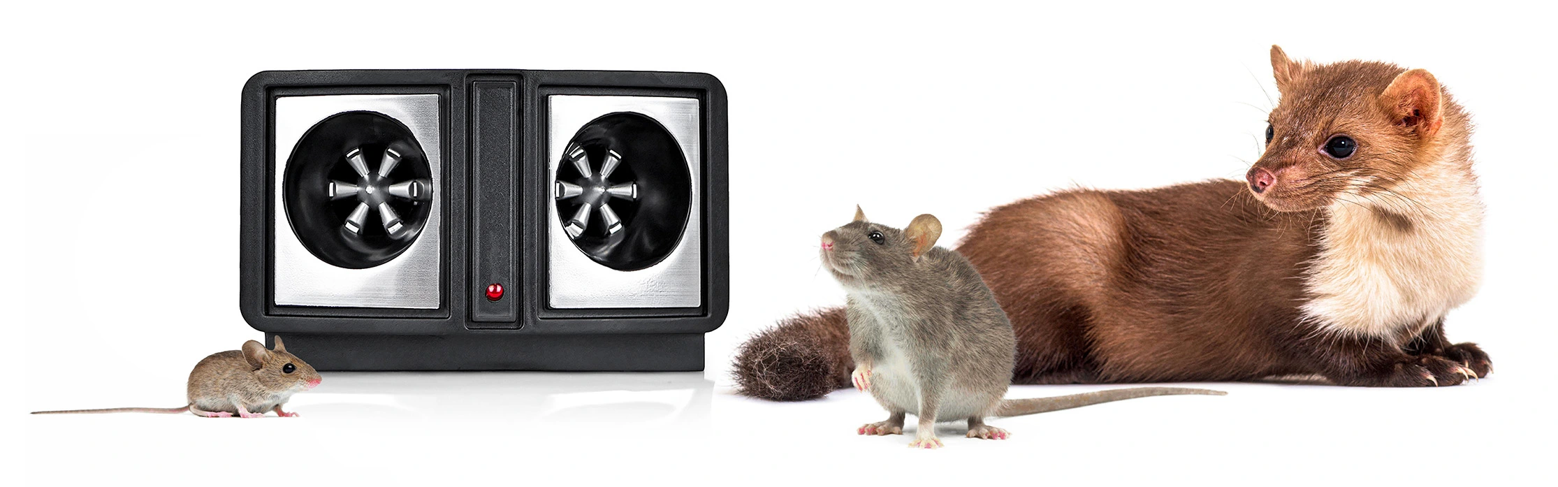 Ultradźwiękowy odstraszacz z dwoma głośnikami pośrodku, po bokach mysz, szczur i kuna – ilustracja działania urządzenia przeciw szkodnikom.