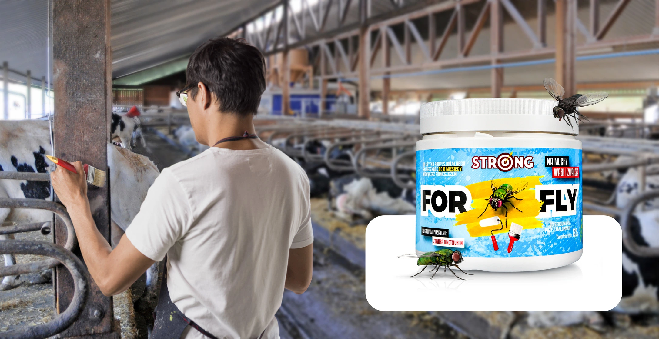 Preparat na muchy FOR FLY marki Strong – pułapka wabiąco-zabijająca w formie farby, nakładana pędzlem w oborach i stajniach.