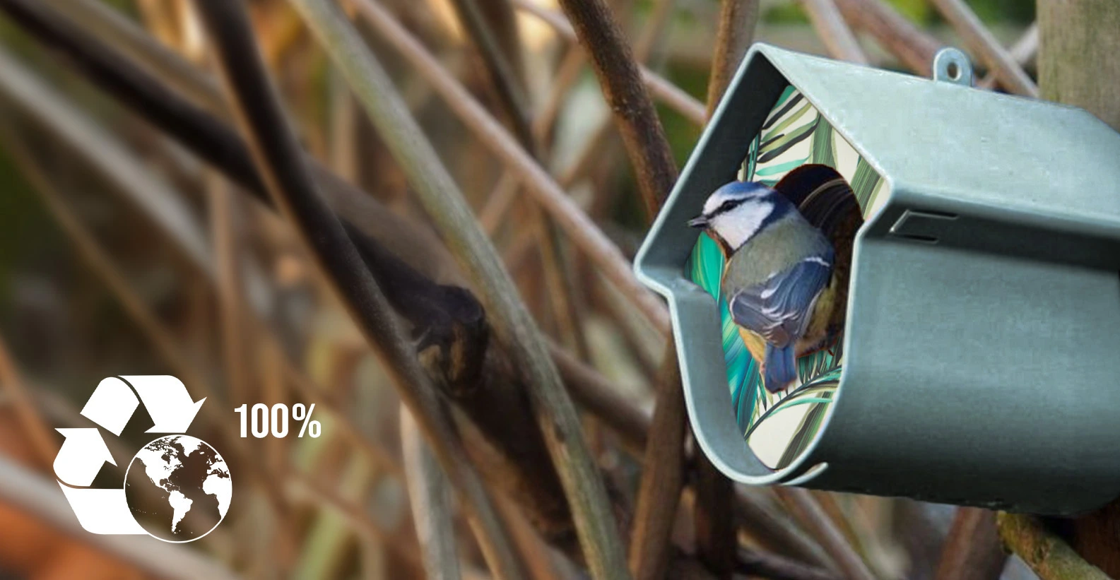 Sikorka modra siedząca przy otworze nowoczesnego karmnika w kształcie domku, zamocowanego na drzewie.