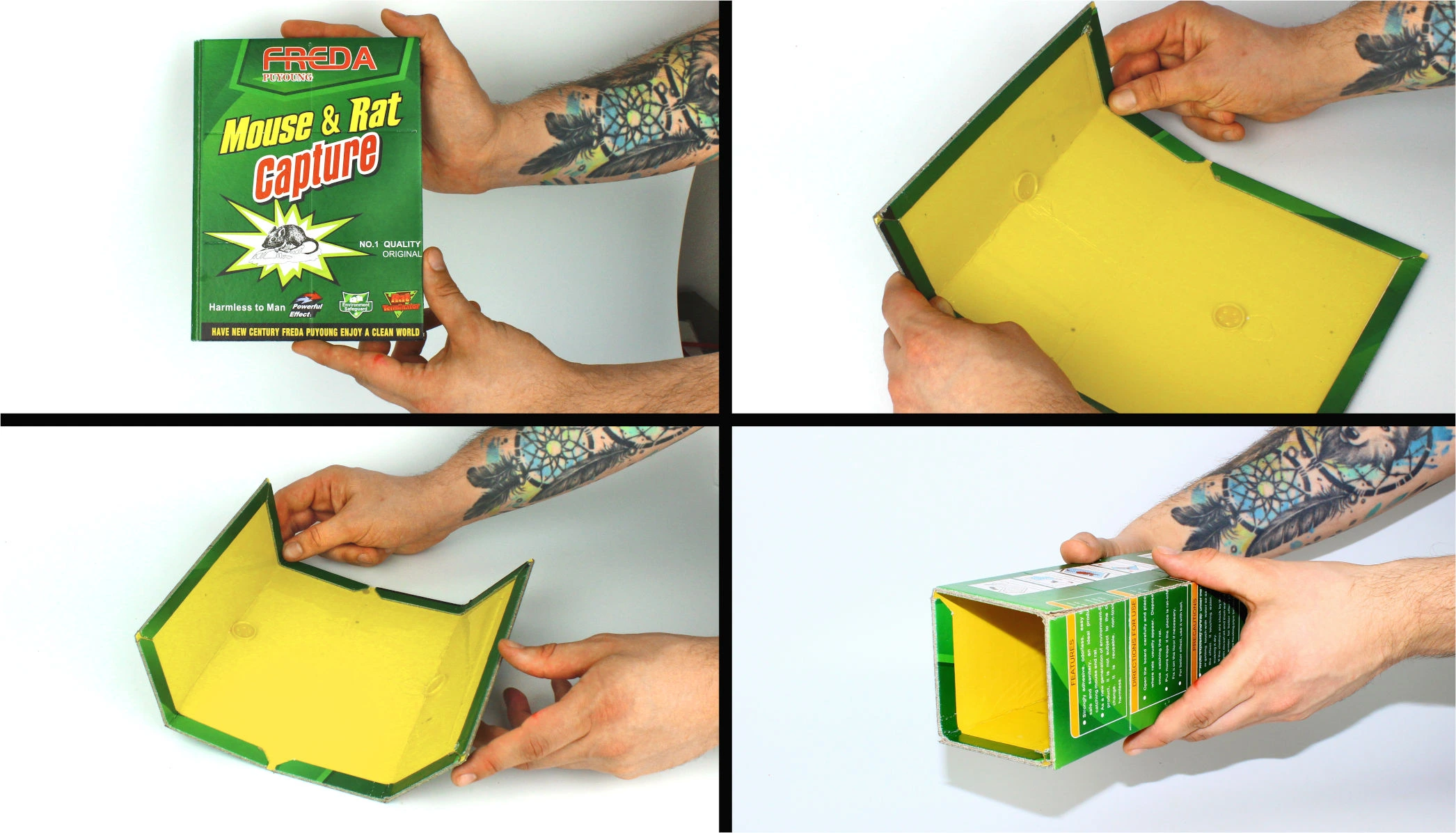 Pułapka klejowa na myszy i szczury Freda, pokazana w czterech etapach rozkładania i składania w formę tunelu.