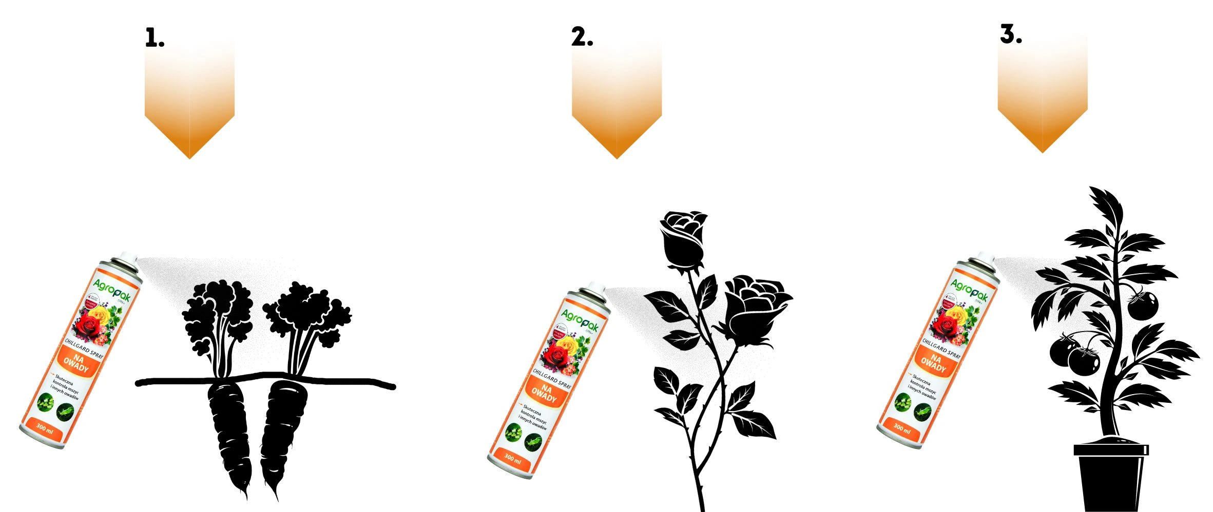 Spryskaj warzywa, rośliny ozdobne i owocowe preparatem Agropak na owady – skuteczna ochrona przed szkodnikami.