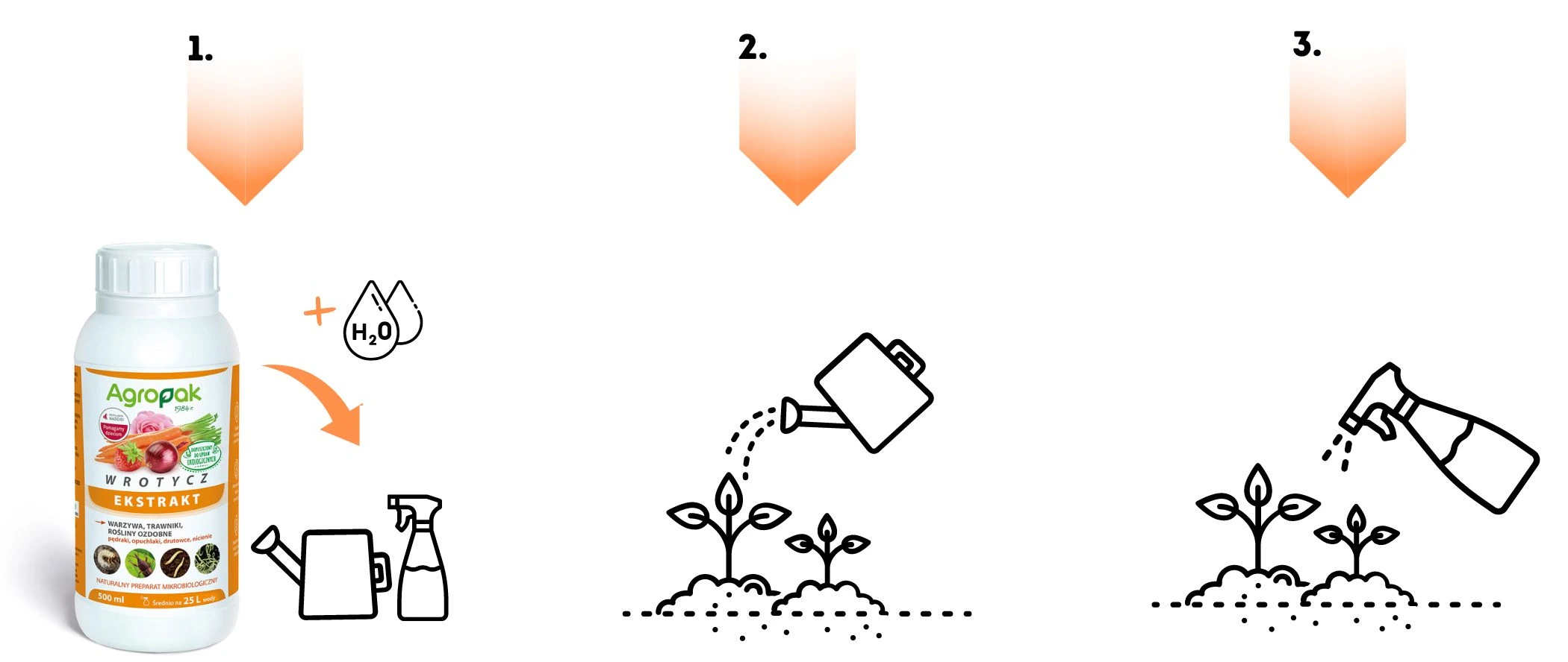 Rozcieńcz ekstrakt z wrotyczu w wodzie, a następnie podlej lub spryskaj rośliny, by chronić je przed szkodnikami.