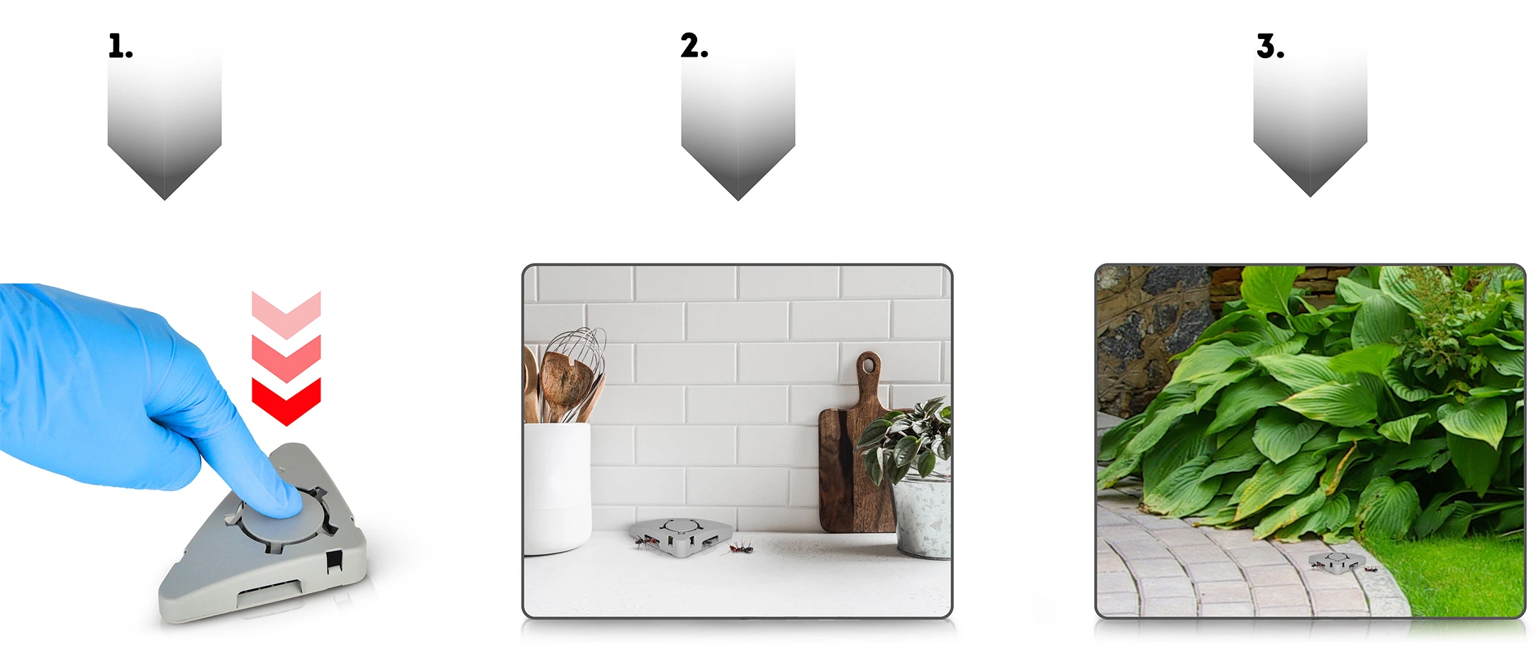 Instrukcja użycia pułapki na mrówki: naciśnij, ustaw w domu lub ogrodzie, działa na owady w otoczeniu.