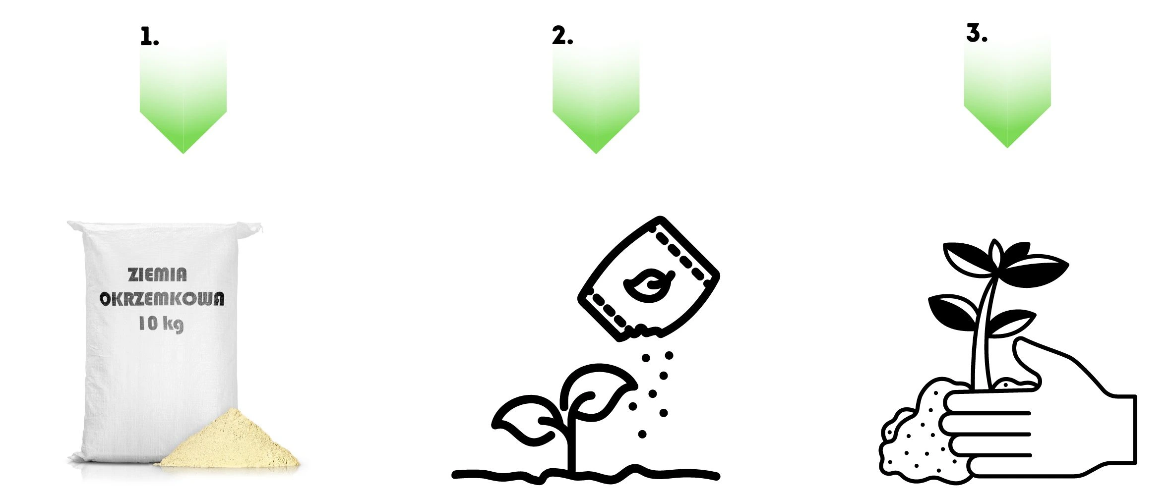 Ziemia okrzemkowa 10 kg – rozsypać wokół rośliny i delikatnie przysypać, by chronić przed szkodnikami.