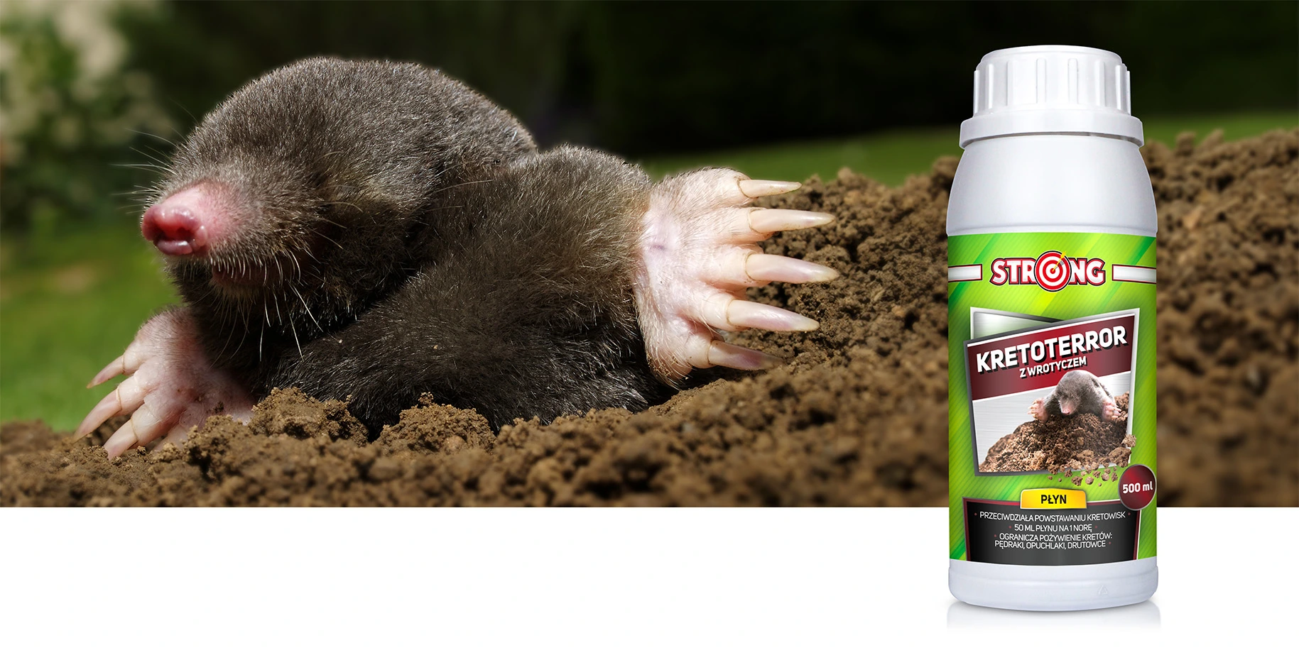 Kret wychodzący z ziemi w ogrodzie, obok butelka preparatu STRONG Kretoterror z wrotyczem, środek odstraszający krety.