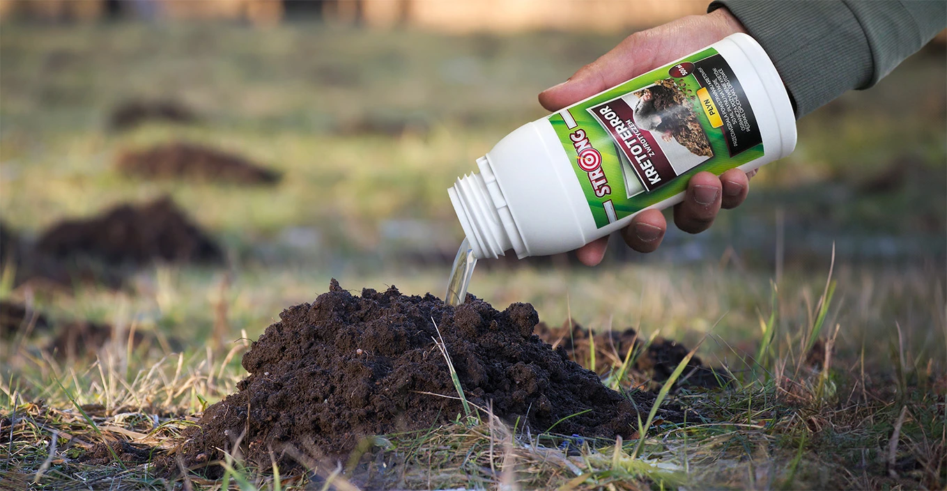 Preparat Strong KretoTerror w płynie wylewany do kopca na trawniku; środek odstrasza krety i zapobiega ich bytowaniu w ogrodzie.