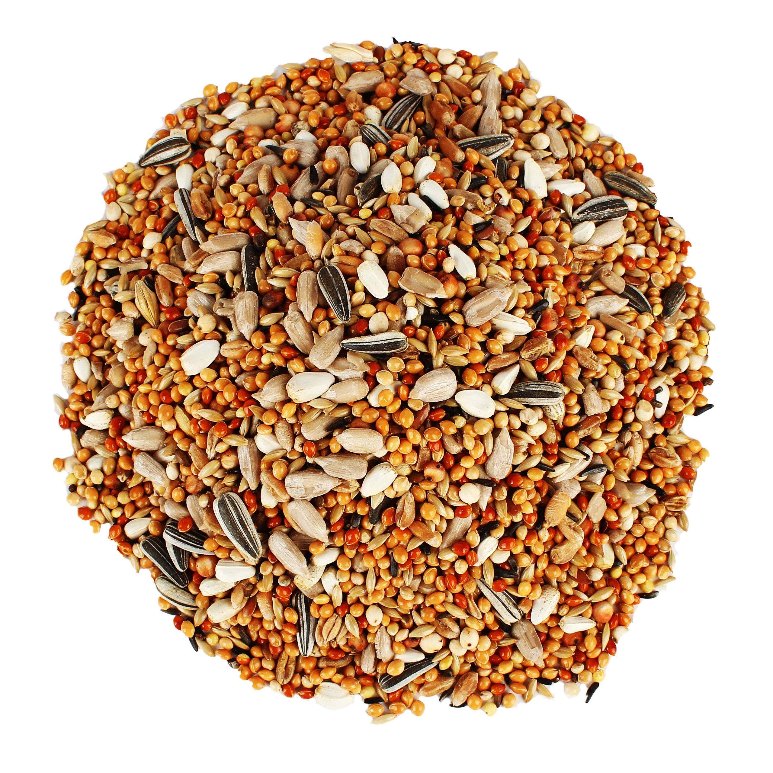 Kolorowa mieszanka drobnych ziaren dla ptaków, zawierająca m.in. proso, kanar, rzepik i łuskany słonecznik.