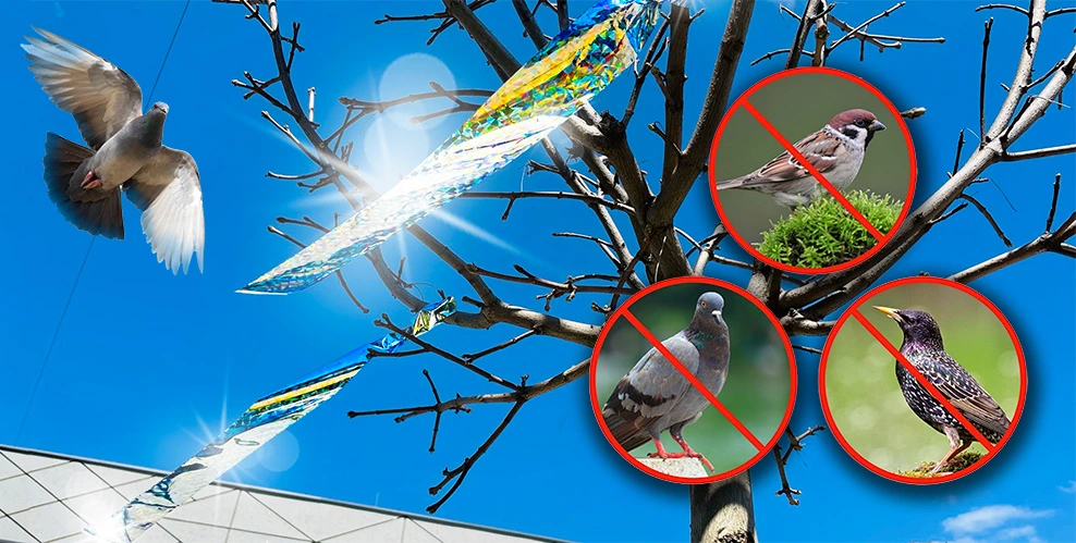 Lśniące taśmy odstraszające ptaki zawieszone na gałęziach drzewa, z lecącym gołębiem w tle na niebieskim niebie