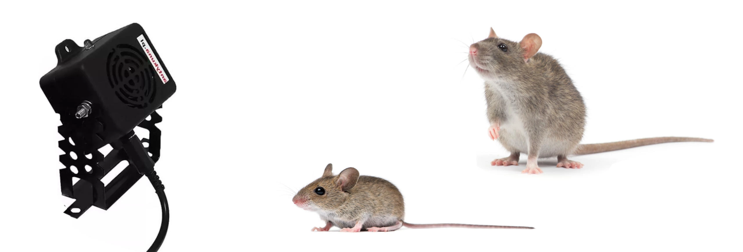 Czarny odstraszacz gryzoni z montażem na kątowniku, skierowany w stronę dwóch myszy na białym tle.