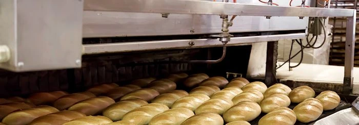 Wypiek bułek w przemysłowym piecu piekarniczym, rząd gotowych wypieków przesuwa się po taśmie.