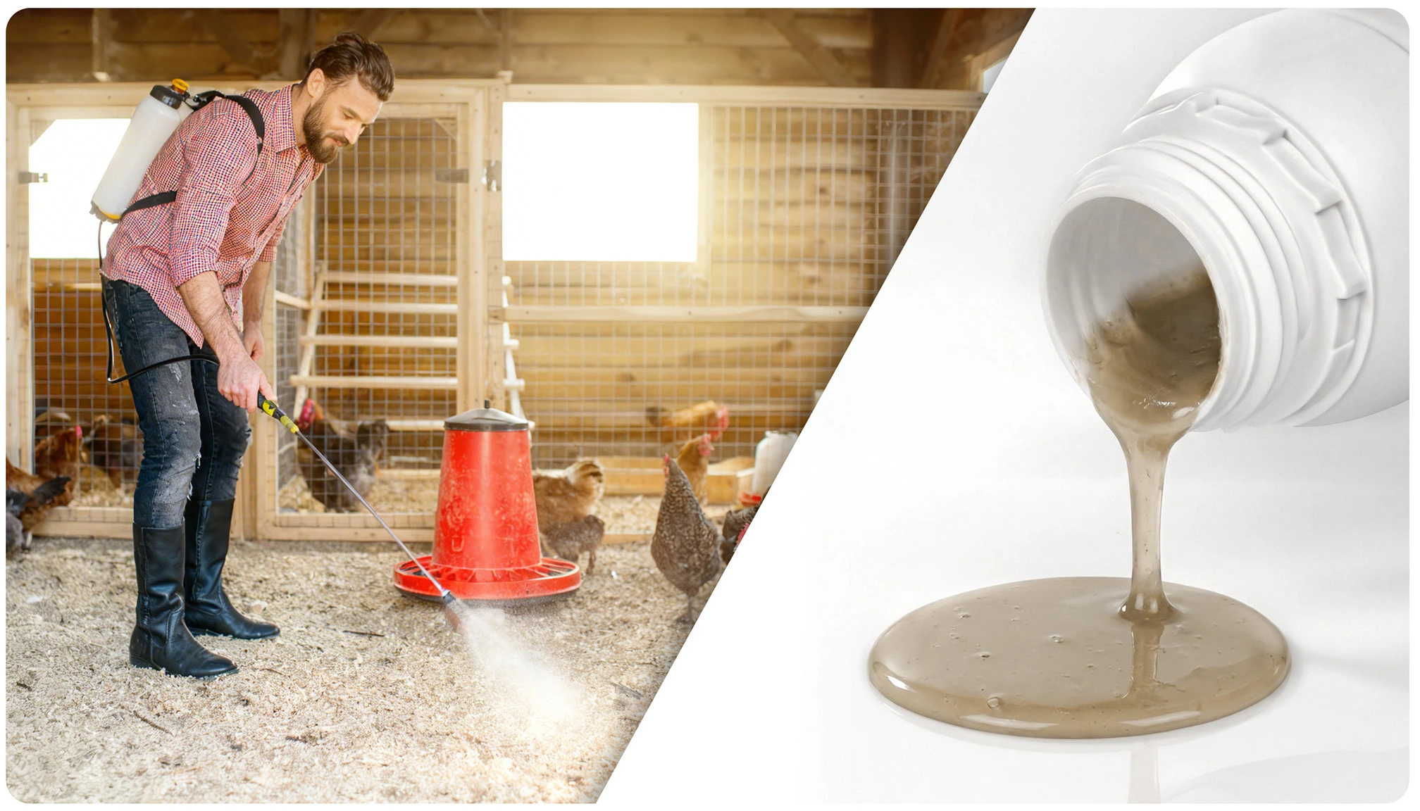 Mężczyzna opryskuje kurnik preparatem oraz zbliżenie gęstej cieczy wylewanej z butelki, prezentacja sposobu użycia produktu