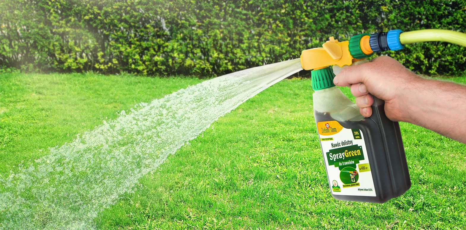 Opryskiwanie trawnika nawozem dolistnym Spray Green Zielony Dom z butelki podłączonej do węża ogrodowego.