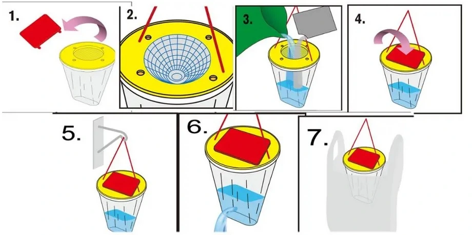 Instrukcja użycia pułapki na osy: wlej płyn, zamknij pokrywkę, zawieś, a po zapełnieniu opróżnij i wyrzuć.