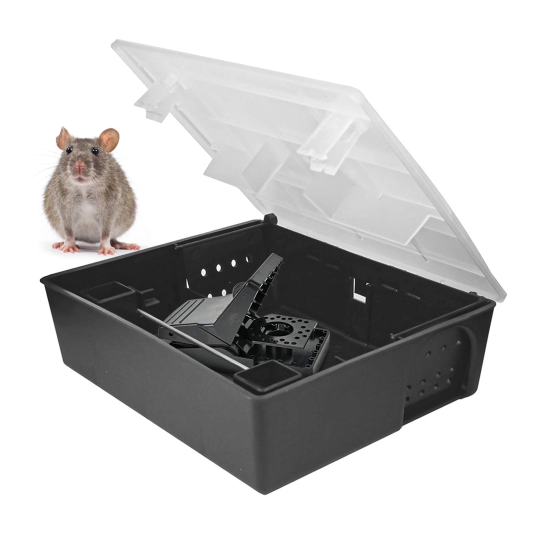 Czarna stacja deratyzacyjna z przezroczystą pokrywą uchyloną do góry; obok siedzący szary szczur.