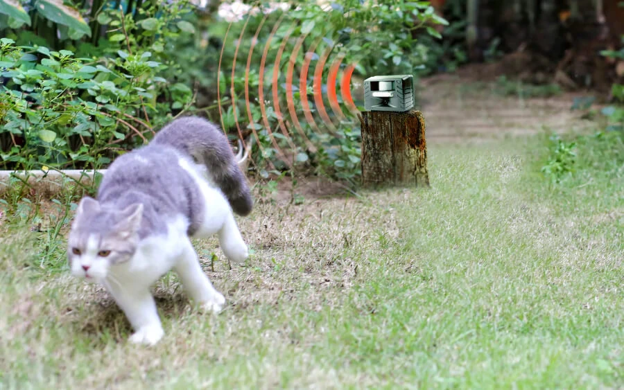 Odstraszacz zwierząt ustawiony na pniu w ogrodzie emituje fale ultradźwiękowe w stronę uciekającego kota.