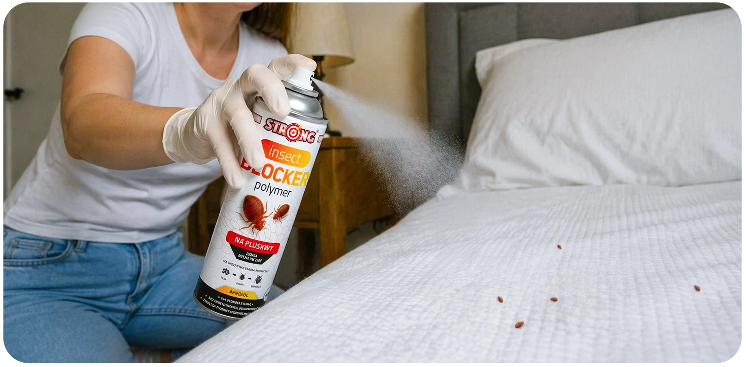 Spray Strong Insect Blocker na pluskwy, aerozol w użyciu, rozpylany na łóżko z widocznymi pluskwami, osoba w rękawiczce