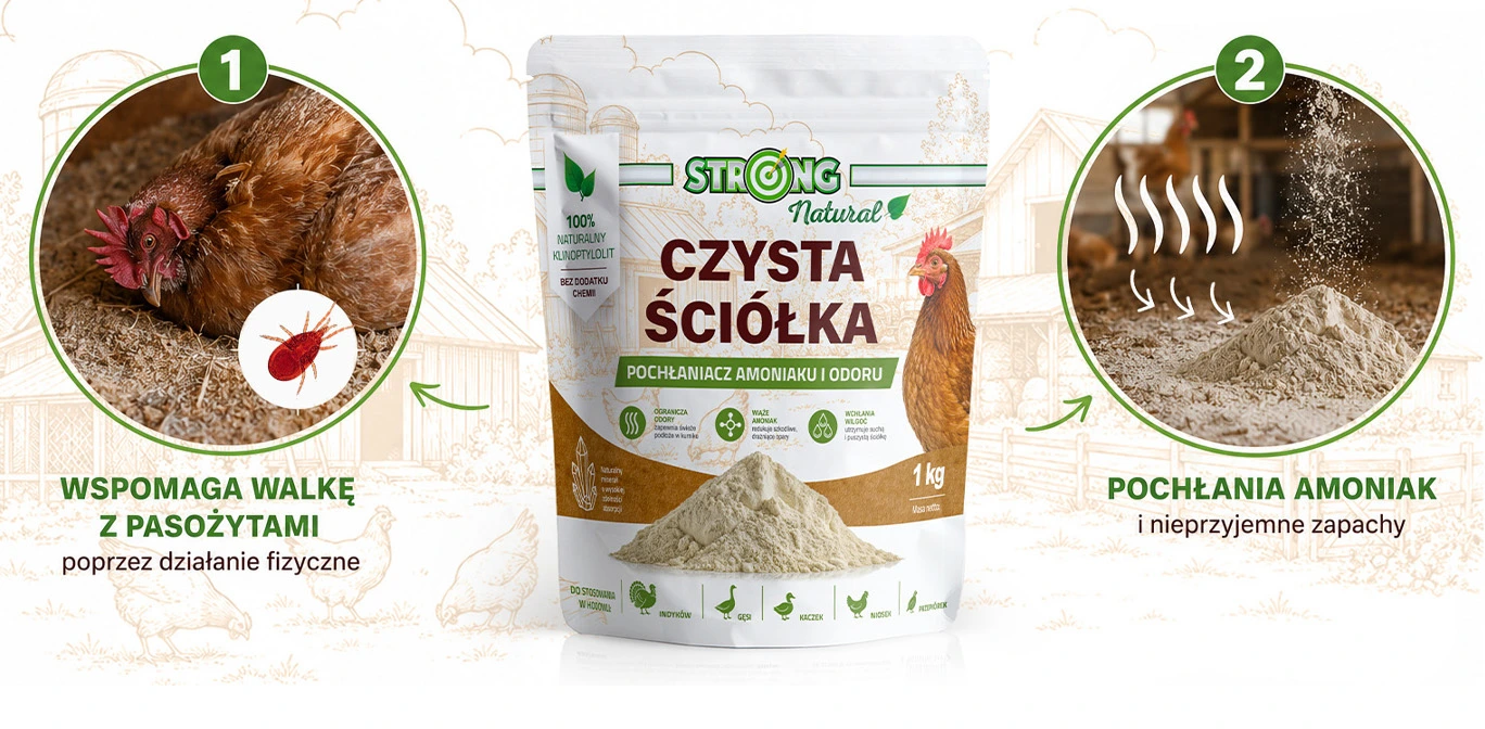 Czysta Ściółka 1 kg: wspomaga walkę z pasożytami, pochłania amoniak i zapachy; efekt przed i po zastosowaniu