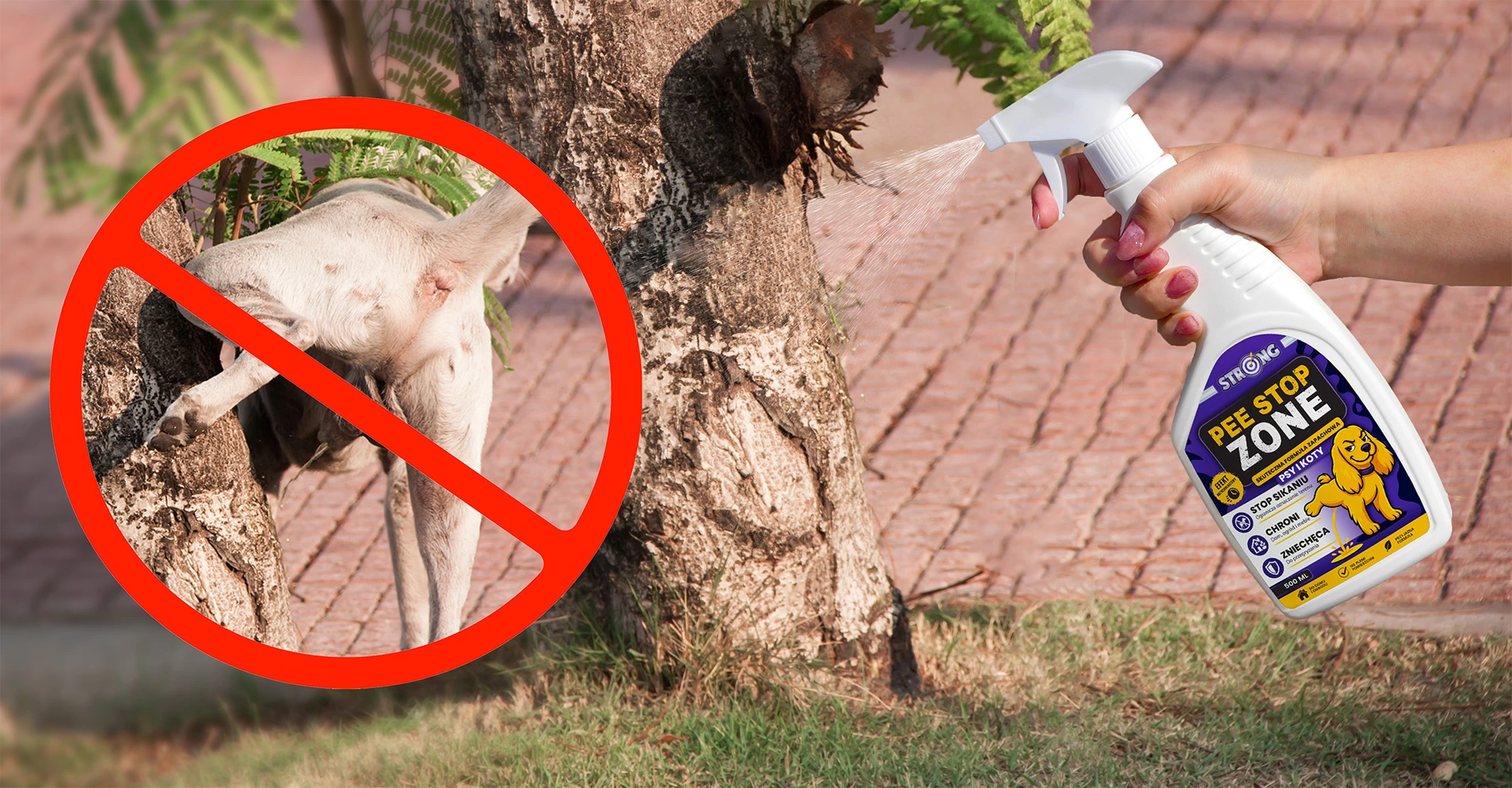 Spray odstraszający psy i koty – naturalny skład, skuteczne działanie, silnie odstrasza i zapewnia długotrwałą ochronę.