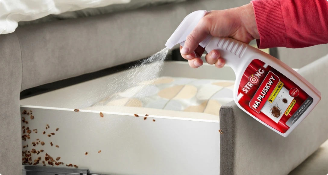 aplikacja środka STRONG na pluskwy 500 ml na krawędź materaca i ramę łóżka w miejscu występowania pluskiew