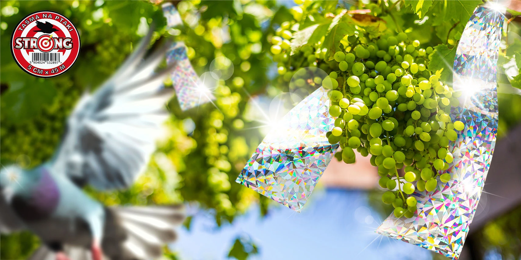 Błyszcząca taśma odstraszająca ptaki zawieszona w winnicy przy kiściach zielonych winogron; w tle odlatujący gołąb.