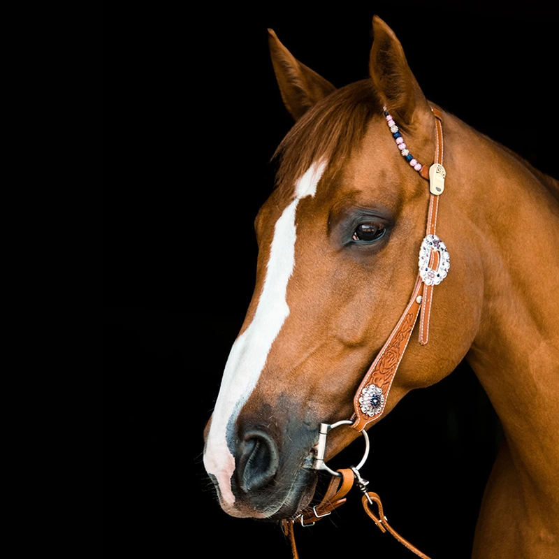 Gniady koń z białą pręgą na pysku, ozdobnym kantarem i koralikami, na czarnym tle.
