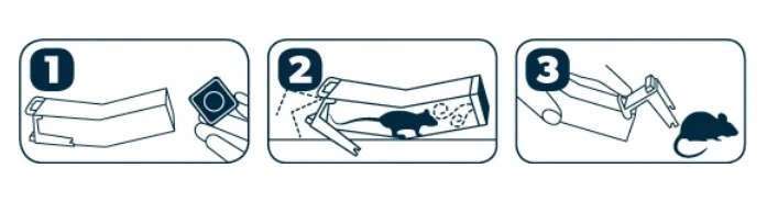 3 etapy działania Tip-Trap: 1) Umieść przynętę, 2) mysz wchodzi i się zamyka, 3) wypuść gryzonia na zewnątrz.