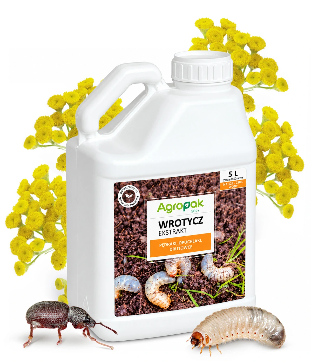 Kanister Agropak Wrotycz Ekstrakt 5 l, na tle żółtych kwiatów wrotyczu, obok pędrak i chrząszcz.