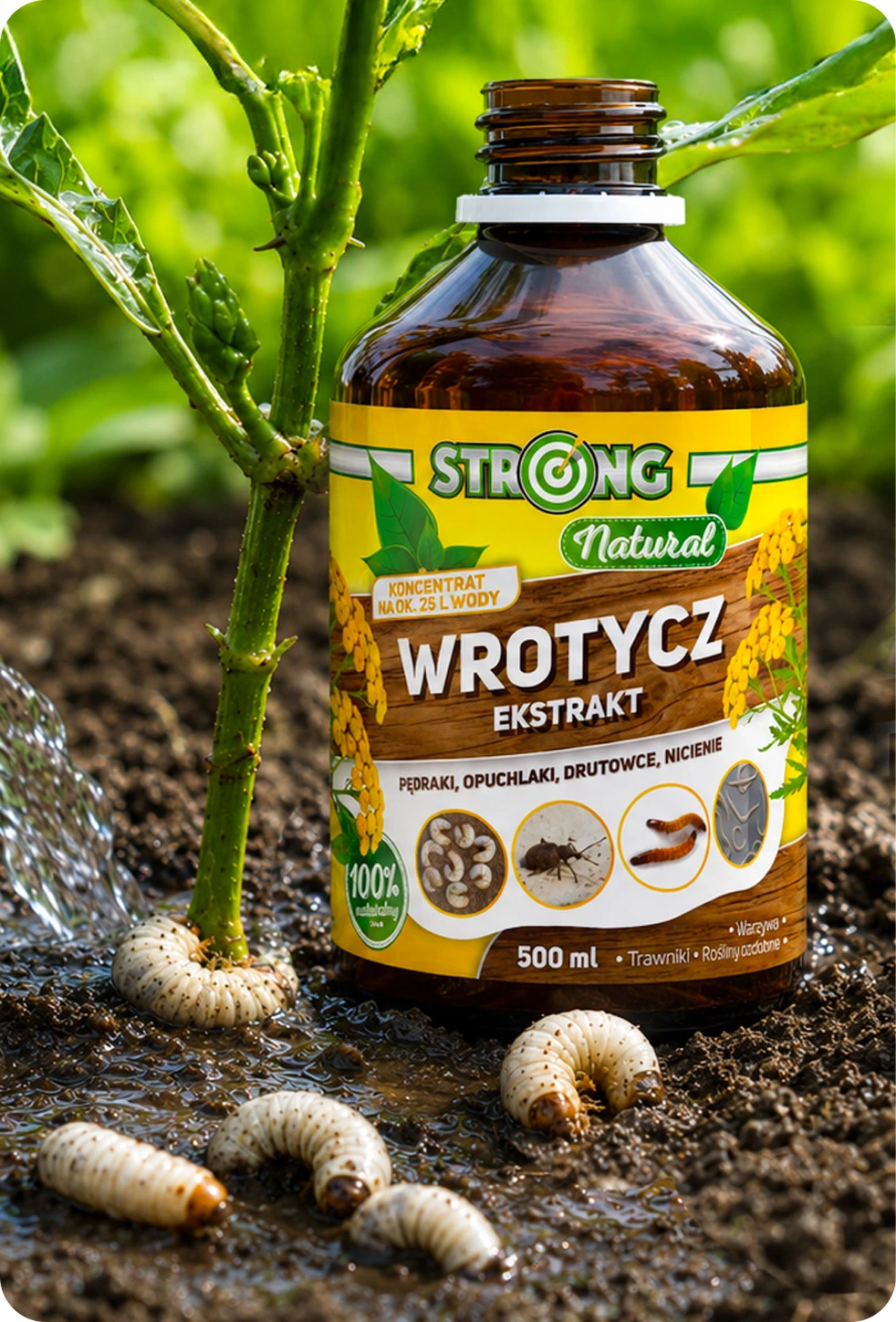 Strong Natural Wrotycz Ekstrakt 500 ml w brązowej butelce, stojący w wilgotnej ziemi obok larw szkodników