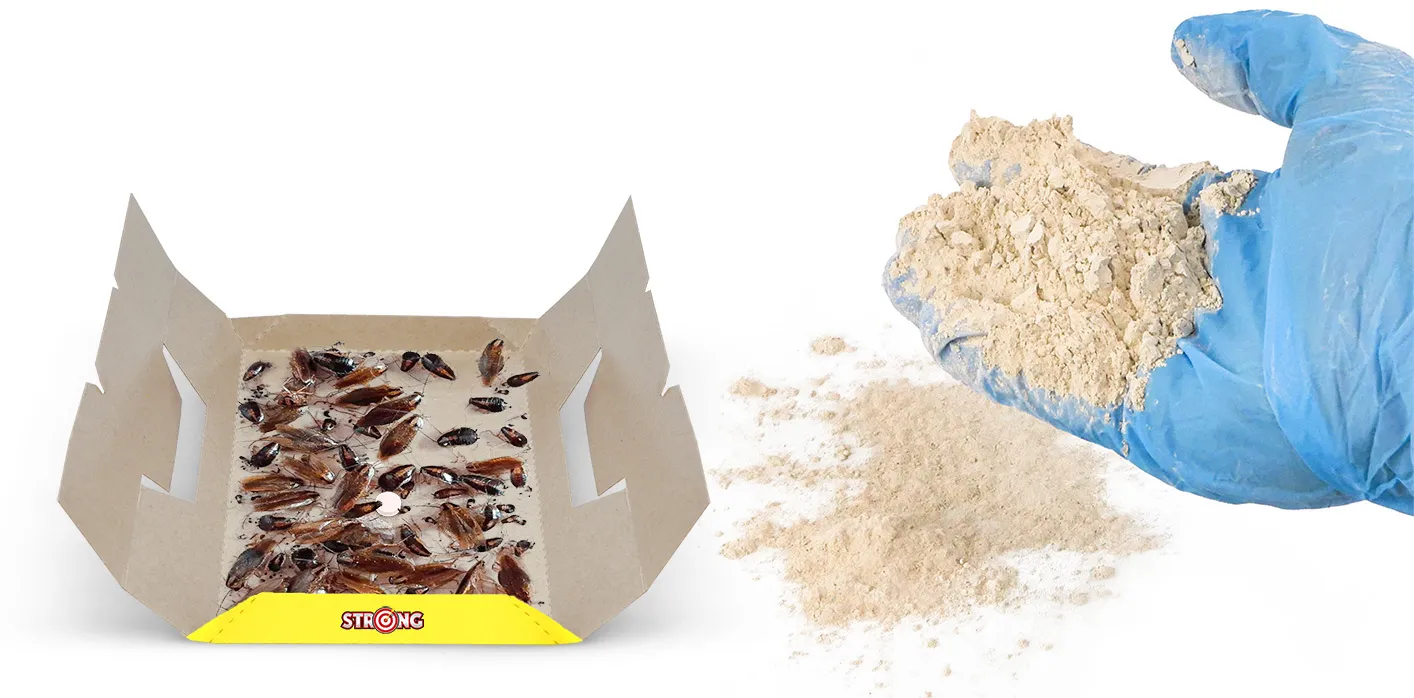 Zestaw do zwalczania karaluchów: pułapka STRONG z wabikiem oraz naturalny proszek Biopowder do suchej dezynfekcji i osuszania.