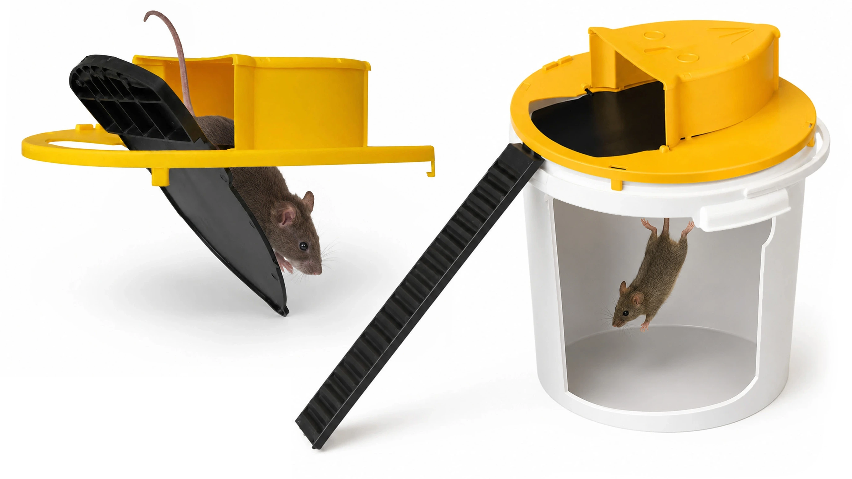 Pułapka na myszy na wiadro MOUSETRAP z zapadką i rampą – sposób działania żywołapki